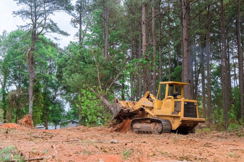 Land Clearing Experts