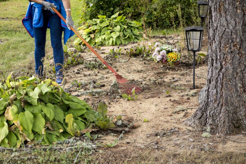 Municipal Clearing Services